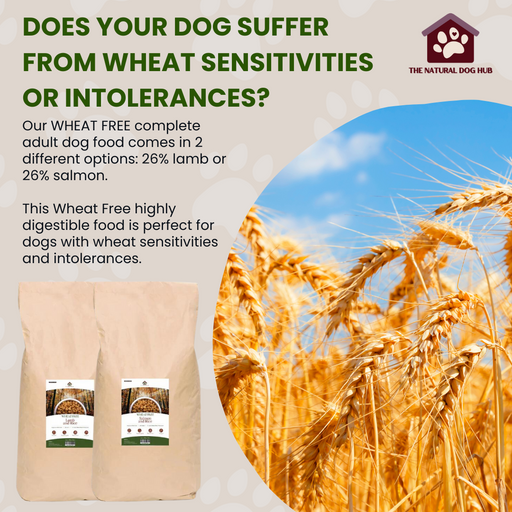  Wheat Free- ADULT Lamb & rice-Complete Food-natural-bulk buy-deal-dog food-hypoallergenic