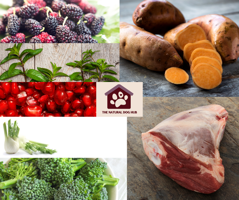 Grain Free ADULT SUPERFOOD BRITISH GRASS FED LAMB with Mint, Pomegranate, Mulberry, Broccoli & Fennel Dog Food