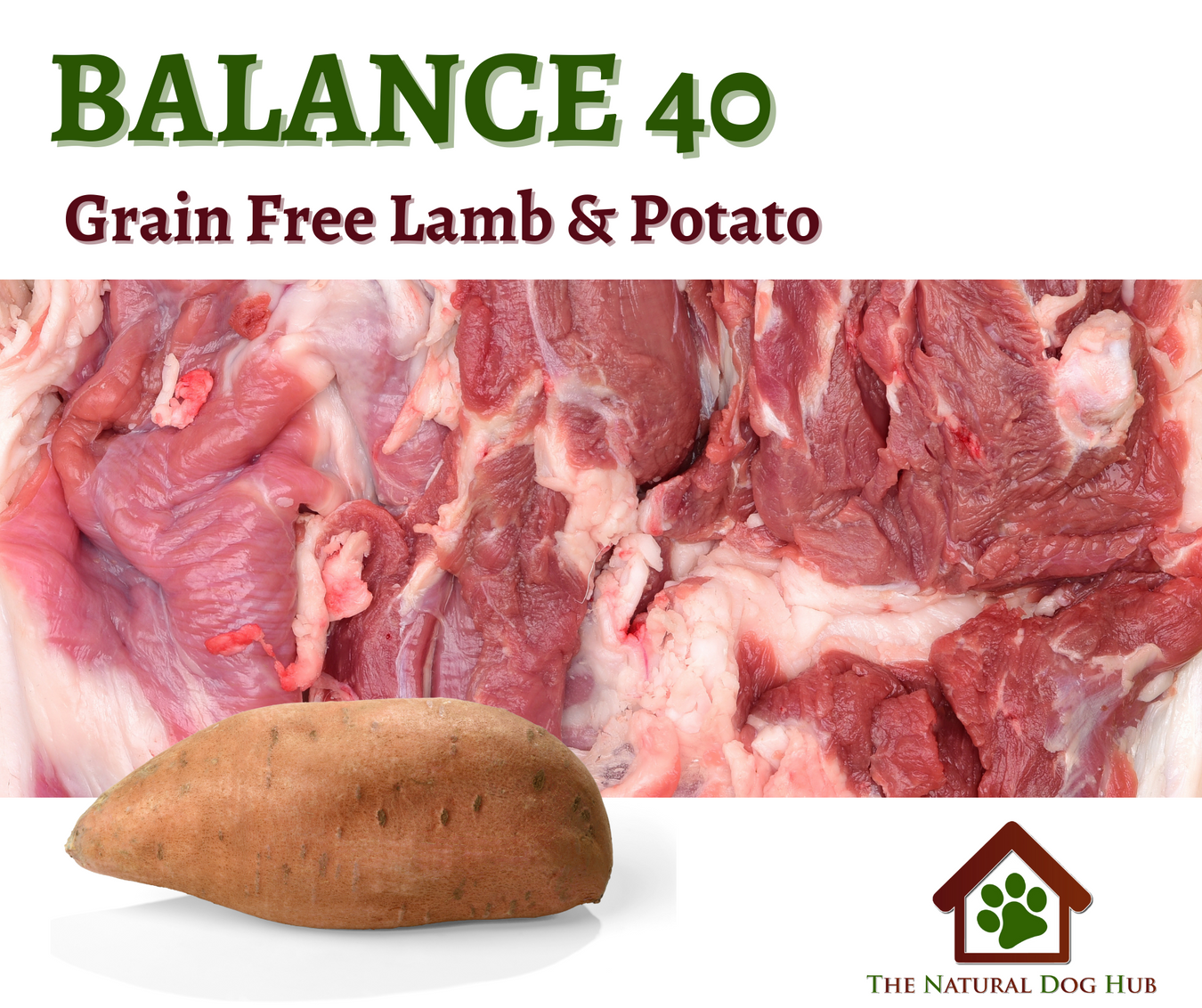 Adult Balance 40 Grain Free