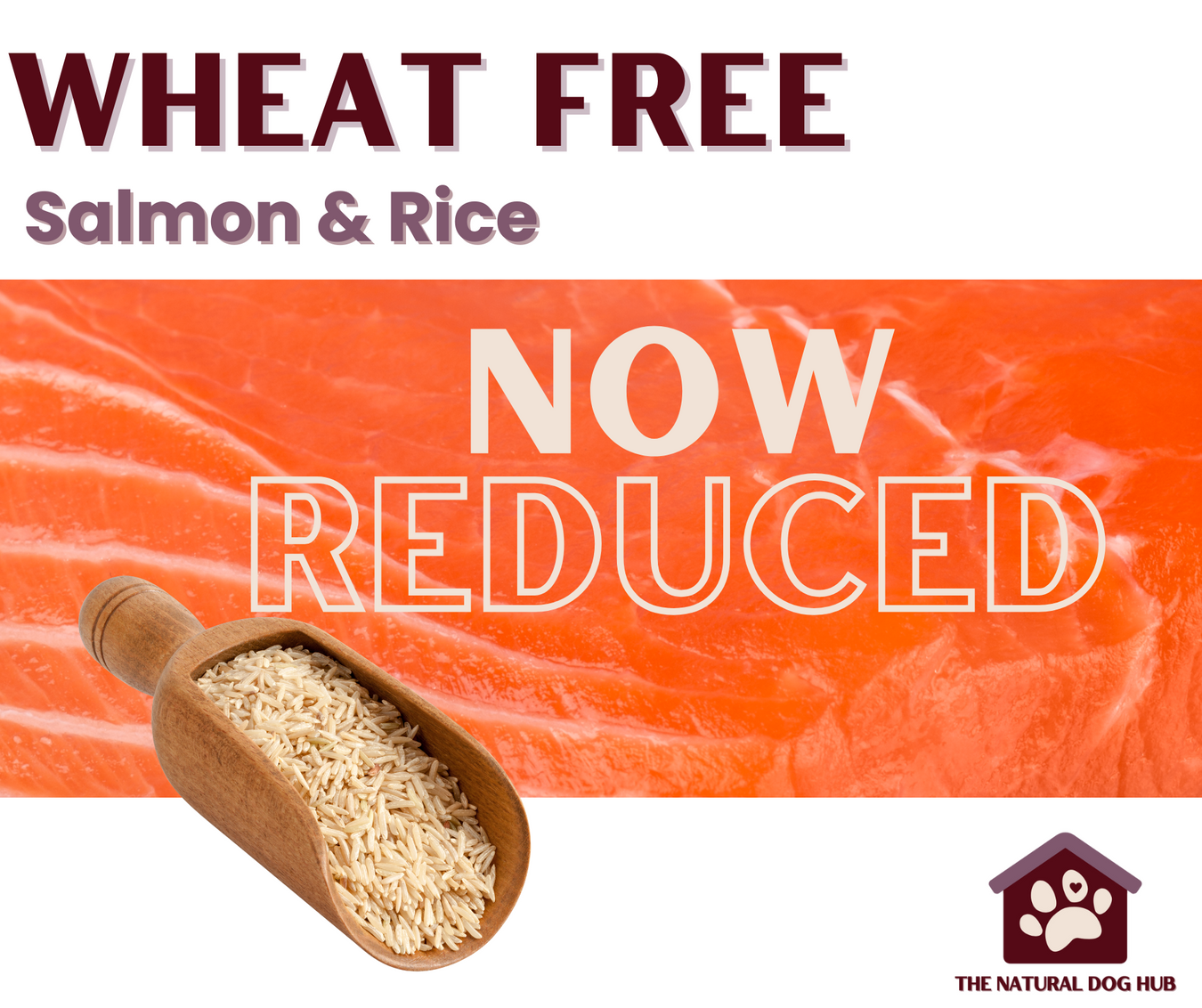 Adult Wheat Free