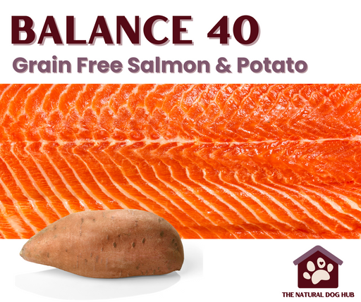 Grain Free -ADULT-40%-Salmon & Potato-Complete Food 15kg-natural-bulk-buy-deals-dog food-fish for dogs-fish 4 dogs-hypoallergenic