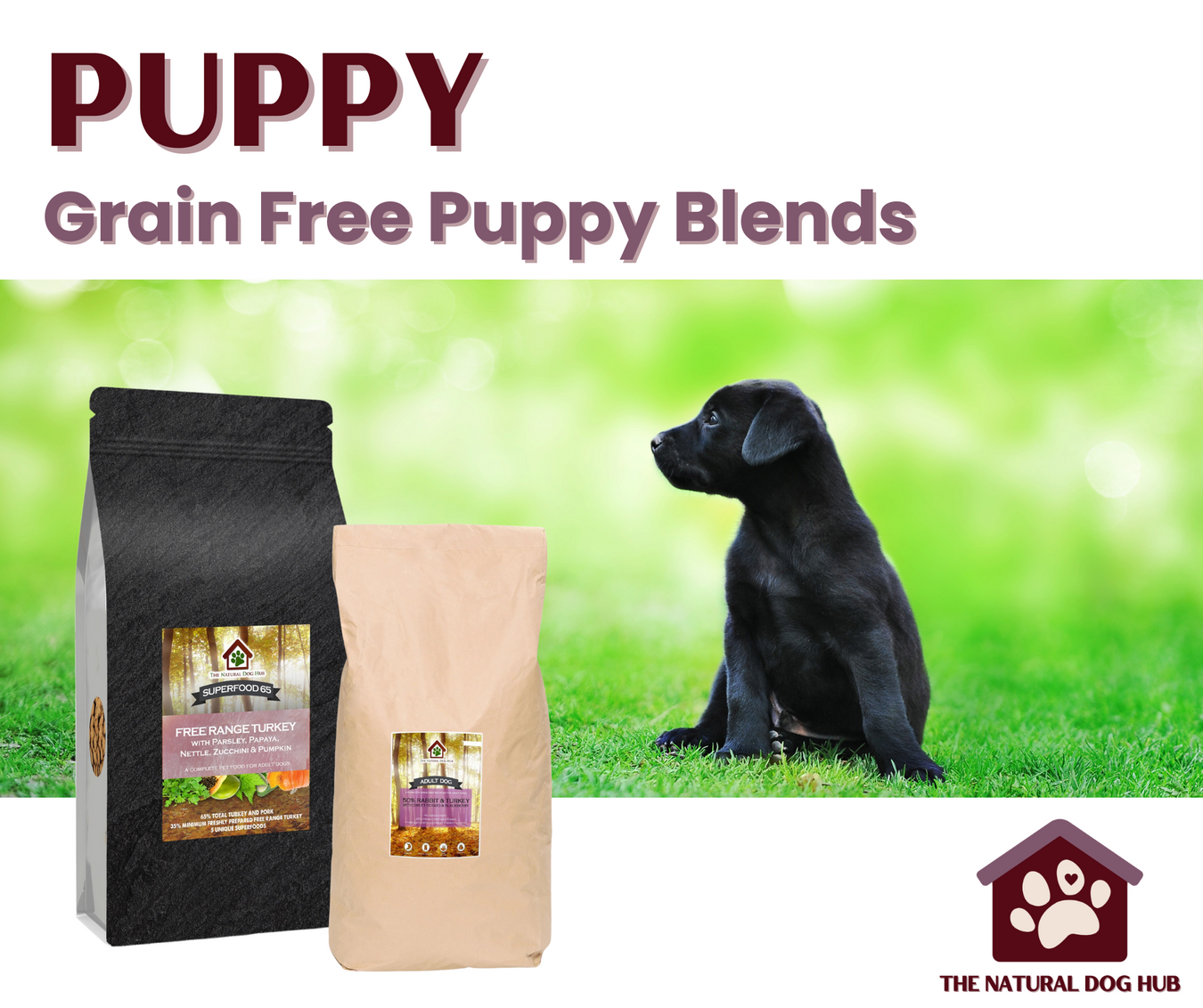 The natural best sale dog