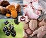 grain free-adult-dog food-rabbit-turkey-sweet potato-blackberry