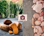 Grain Free-ADULT Chicken, Sweet Potato & Herbs-Complete Food 15kg-deal-bulk-buy-natural-dog food