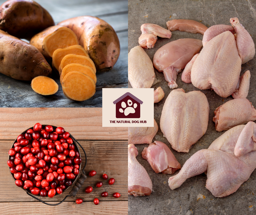 natural-grain free-freshly prepared-turkey-sweet potato-cranberry-15kg-large breed-dog food
