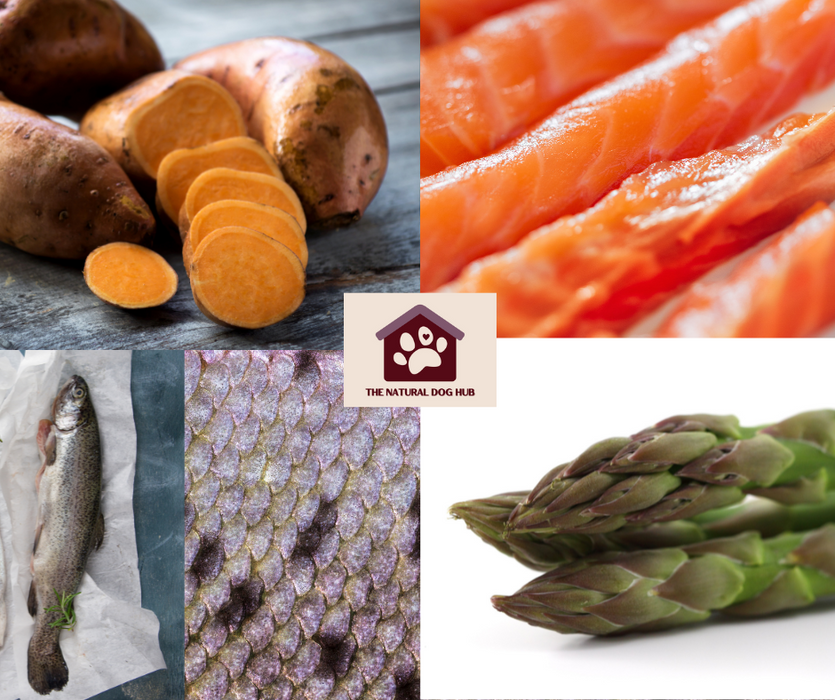 grain-free-natural-dog-puppy-food-salmon-haddock-asparagus-fish for dogs-fish 4 dogs