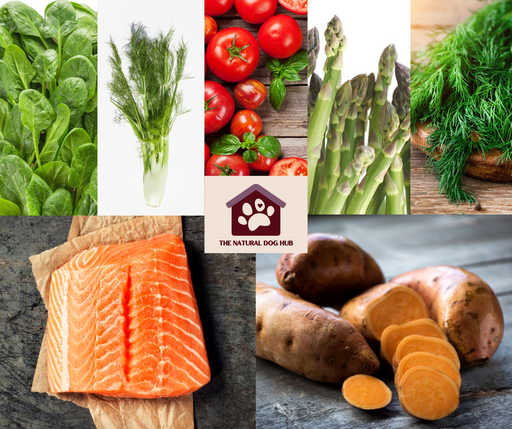superfood-SENIOR-dog-food-grain-free-high-meat-content-slow-cooked-scottish salmon-fish for dogs-fish 4 dogs-natural