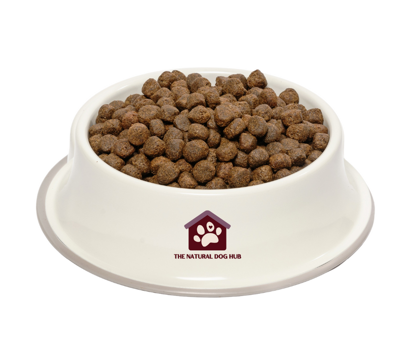 Grain-free-natural-dog-food-large-breed-puppy-junior-salmon-fish for dogs-fish 4 dogs
