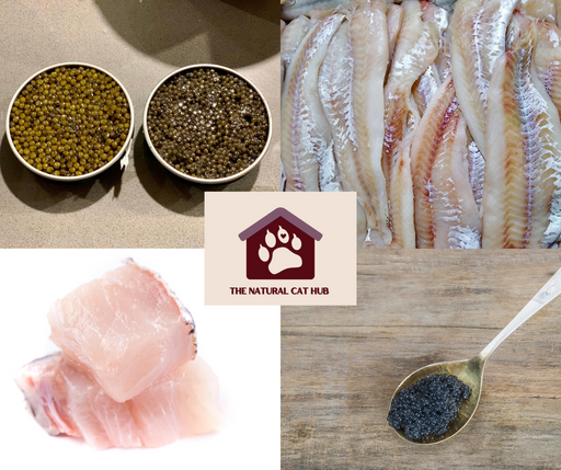 grain free-adult-cat-food-herring caviar-white-fish-sterilised cat-neutered cat-low fat-natural cat food- fresh cat food