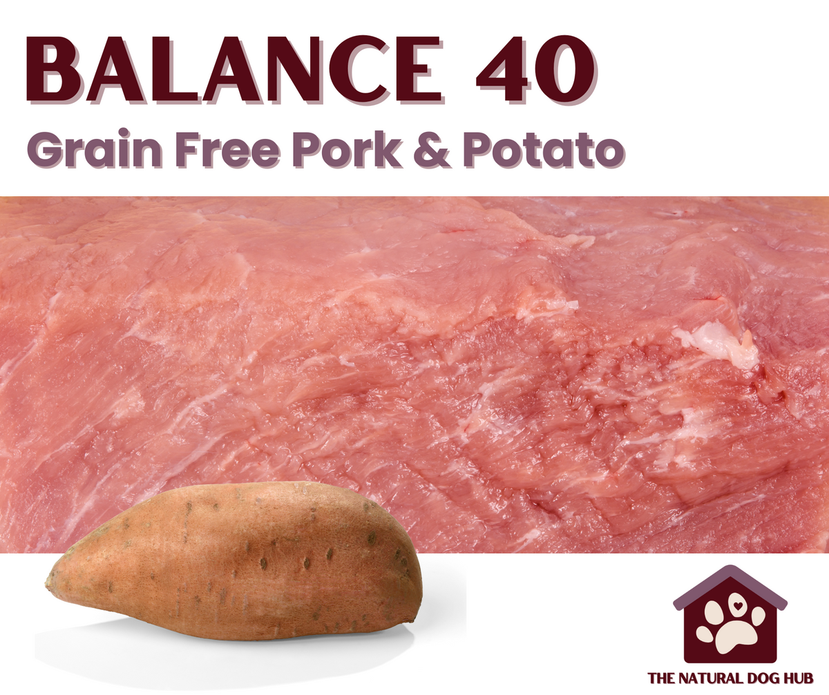 Image result for BALANCE 40 Grain Free PORK & Sweet Potato Complete Adult Dog Food — The ...