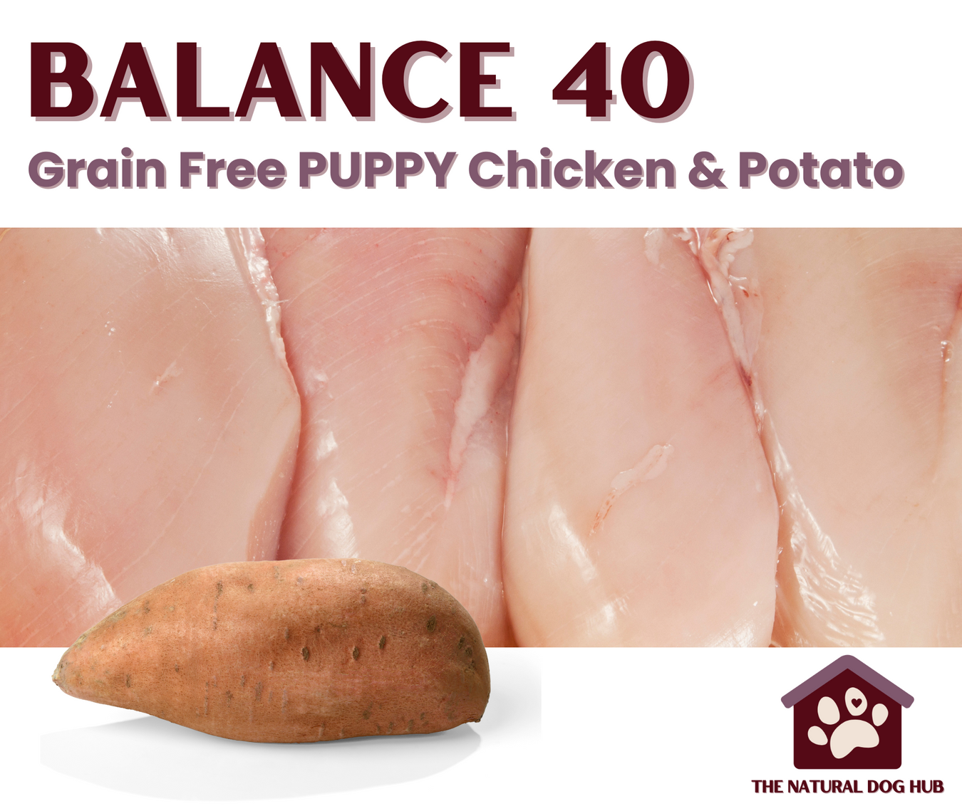 Puppy Food