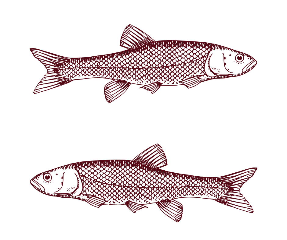 Fish Blends