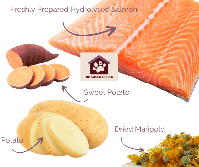 Grain free hydrolysed freshly prepared salmon based dog food 
