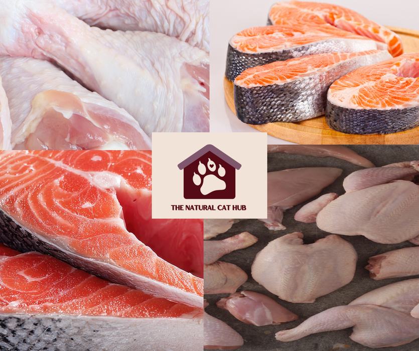 Grain free-hydrolysed-cat food-turkey and salmon-for digestion-digestive care