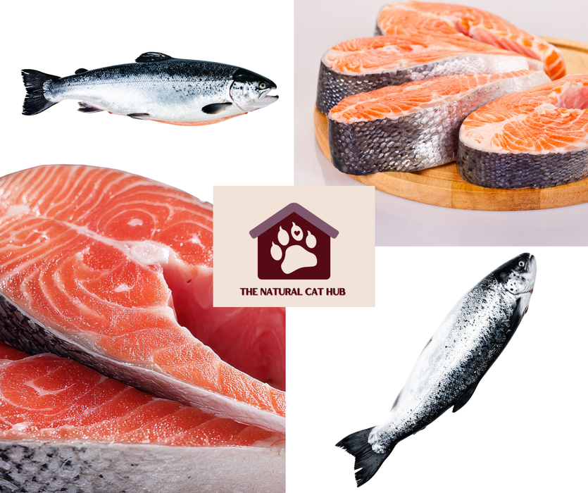 Grain free-hydrolysed-cat food-for skin and coat health-reduce hair balls