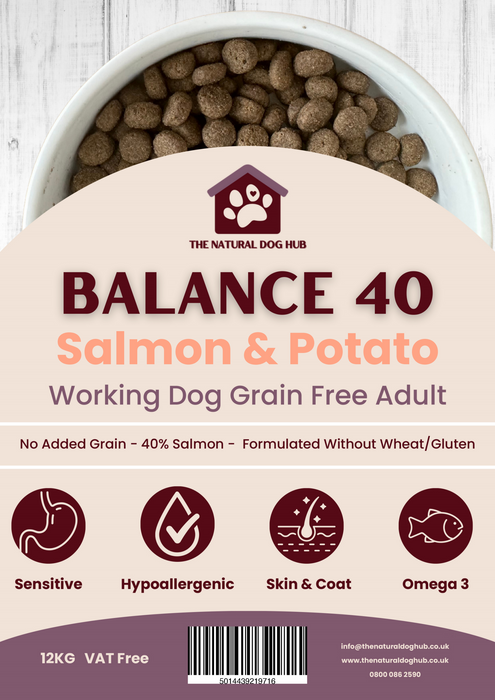 BALANCE 40 Grain Free SALMON Sweet Potato Complete Adult Dog Food