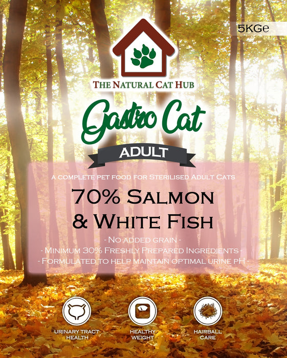 grain free-adult-cat-food-salmon-fish-sterilised cat-neutered cat-low fat-natural cat food- fresh cat food